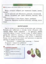 Читаем после Букваря — изображение 3
