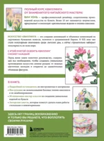 Квиллинг от А до Я. Полный практический курс от китайского мастера — изображение 3