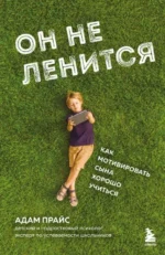 Он не ленится. Как мотивировать сына хорошо учиться. ПРАЙС А.