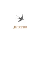 Детство. Отрочество. Юность — изображение 4