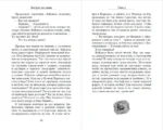 Выстрел на сцене — изображение 4