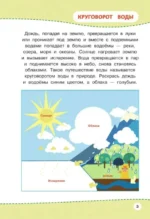 Многоразовая тетрадь. Мир вокруг нас — изображение 6