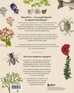 Профессия — Научный иллюстратор. Руководство по иллюстрации в биологии, археологии и палеоарте — изображение 3