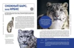 Красная книга мира. Животные — изображение 5