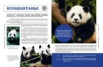 Красная книга мира. Животные — изображение 6