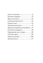 Три юных детектива. Турбогонка — изображение 4