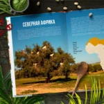 Кулинарная география. 90 лучших семейных ужинов со всех концов света — изображение 5