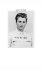 Госпожа Смерть. История Марии Мандель, самой жестокой надзирательницы Аушвица — изображение 5