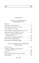 Комментарии к роману Евгений Онегин. Биография А. С. Пушкина — изображение 4