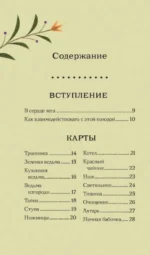 Тайный оракул Зеленой ведьмы (50 карт и руководство в подарочном оформлении) — изображение 2