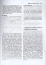 Сердечно-сосудистая система. Анатомия и физиология в покое и при физических нагрузках — изображение 4
