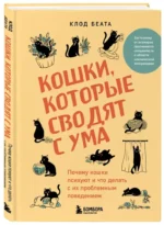 Кошки, которые сводят с ума. Почему кошки психуют и что делать с их проблемным поведением — изображение 3