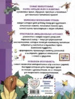 Сказки о животных. Осознанное чтение для развития креативного мышления — изображение 6