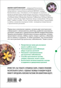 Декоративные лекарственные растения на даче — Народная и нетрадиционная медицина