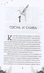 Безмятежный лотос у подножия храма истины — изображение 2