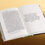 В сердце Африки. Незабываемое приключение русских, отправившихся по самым нетуристическим местам Африки и задержанных по подозрению в шпионаже — изображение 4