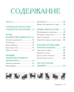 Вышиваем крестиком путешествие черного кота — изображение 3
