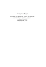 Полуночная роза — изображение 6