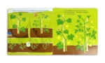 Собираем урожай. Развивающая 3D-книга — изображение 6