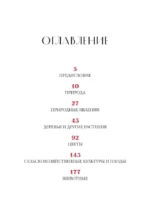 Зачем художнику детали? Вишни, голуби, розы и другие символы — изображение 4