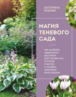 Магия теневого сада. Как выбрать идеальные растения для потаенных уголков участка и создать красивые композиции. Катерина Резник
