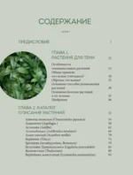 Магия теневого сада. Как выбрать идеальные растения для потаенных уголков участка и создать красивые композиции — изображение 4