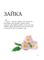 Любовь с первой куклы. Магические уроки вязания крючком от Екатерины Гущиной — изображение 4