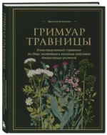 Гримуар травницы. Иллюстрированный справочник по сбору, заготовкам и полезным свойствам дикорастущих растений — изображение 2