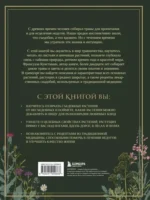 Гримуар травницы. Иллюстрированный справочник по сбору, заготовкам и полезным свойствам дикорастущих растений — изображение 3