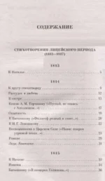 Я помню чудное мгновенье... Стихотворения — изображение 2