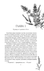 Костры из лаванды и лжи — изображение 4