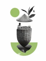 Чай. От листа до чашки. Все, что нужно знать о сортах, заваривании и дегустации тем, для кого чай не просто напиток — изображение 5