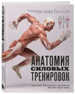 Анатомия силовых тренировок — изображение 2
