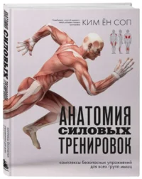 Анатомия силовых тренировок — Здоровье и его профилактика