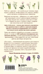 Цветы для букета. Справочник срезанных цветов для начинающего флориста. Что и когда покупать и как продлить цветам жизнь — изображение 3