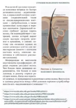 Волосы. Иллюстрированное пособие для врачей, трихологов и парикмахеров — изображение 4