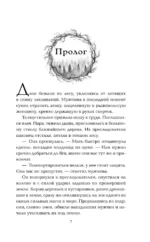 Тёмное отражение — изображение 4