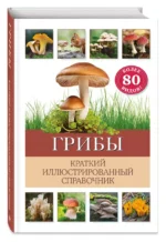 Грибы. Краткий иллюстрированный справочник — изображение 3