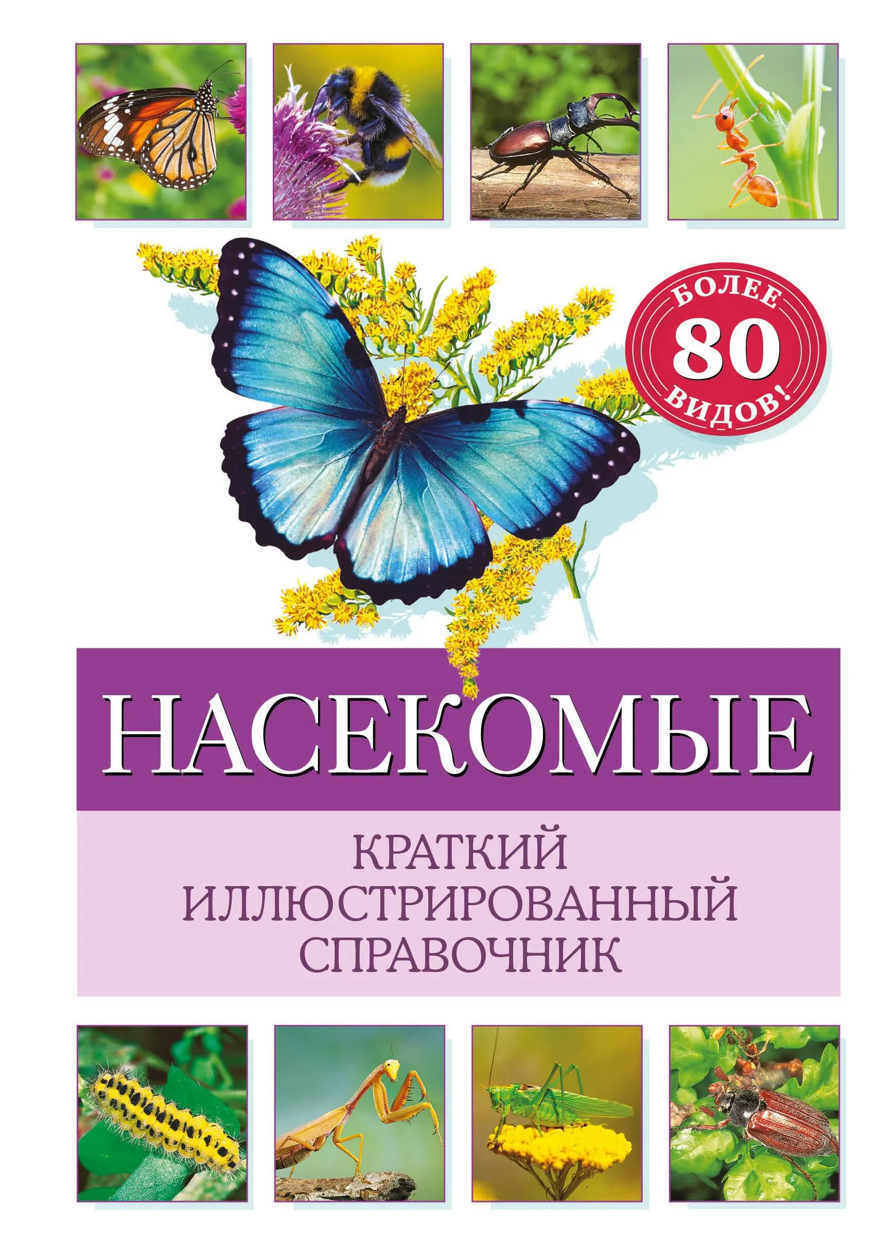 9785041931476_0-1.webp Насекомые. Краткий иллюстрированный справочник. ОФТРИНГ Б.