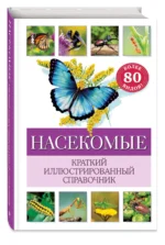 Насекомые. Краткий иллюстрированный справочник — изображение 3