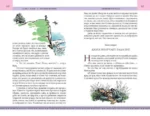 Комплект из 2-х книг. Хроники Нарнии цв.ил. П. Бэйнс — изображение 5