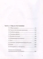 Сад тысячи возможностей. Как благоустроить и озеленить участок — изображение 3