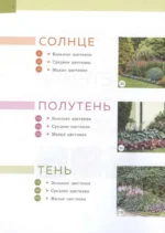 Цветники в вашем саду. Простые композиции для солнца и тени — изображение 3