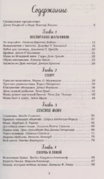 Куриный бульон для души. Мама и сын. 101 история о безграничной любви — изображение 3