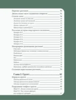 Заклинатель комнатных растений. Секретные лайфхаки от профессионального цветовода — изображение 4