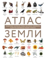 Атлас Земли. Животные, растения, грибы, бактерии, минералы и другие сокровища нашей планеты. Регина Михайлова