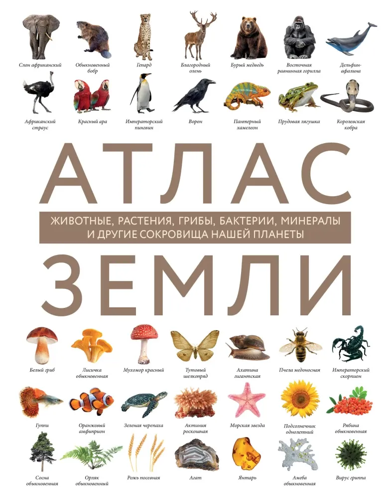 9785041968618_0-1.webp Атлас Земли. Животные, растения, грибы, бактерии, минералы и другие сокровища нашей планеты. Регина Михайлова