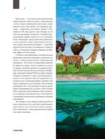 Атлас Земли. Животные, растения, грибы, бактерии, минералы и другие сокровища нашей планеты — изображение 6