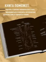 Анатомия в черном. Медицинский атлас для любителей роскоши и стиля — изображение 4