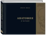 Анатомия в черном. Медицинский атлас для любителей роскоши и стиля — изображение 5